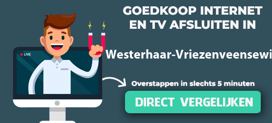 internet vergelijken in westerhaar-vriezenveensewijk